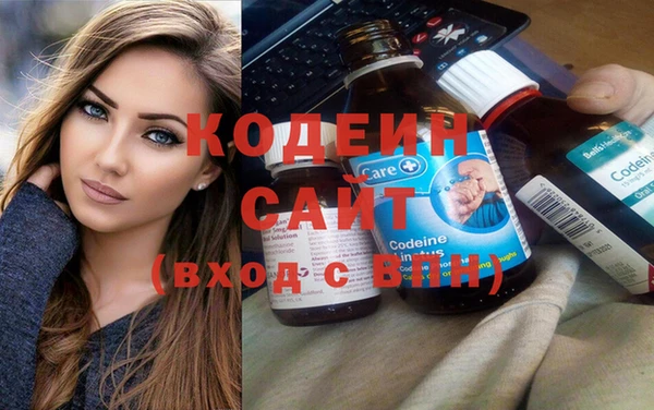 дживик Бородино