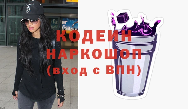 дживик Бородино