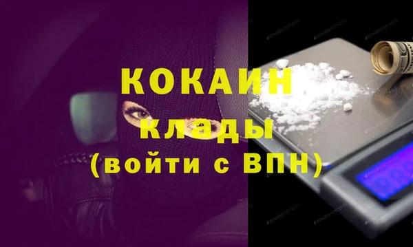 дживик Бородино