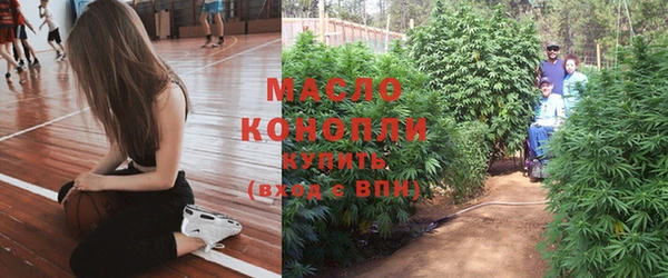 мдпв Верхний Тагил