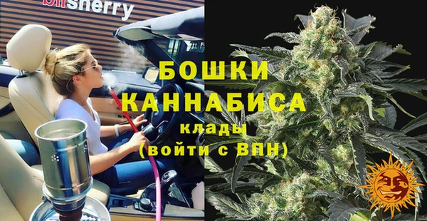 дживик Бородино