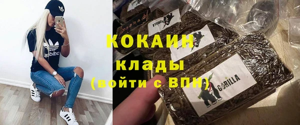 дживик Бородино