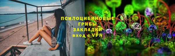мдпв Верхний Тагил
